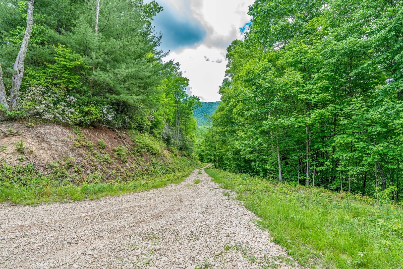 Tbd Jimmy Hollow Road, Unit TR1 Butler, TN 37640 - Photo 28 of 31 DSC08195-Edit-6