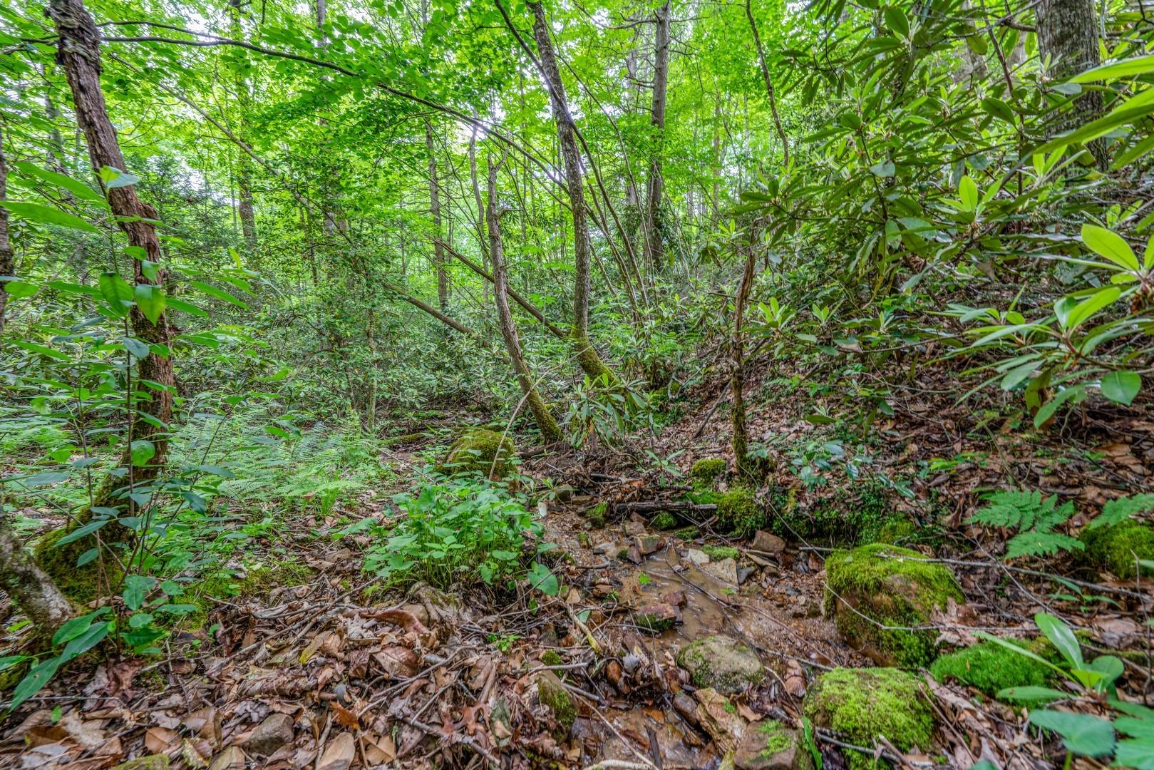Tbd Jimmy Hollow Road, Unit TR1 Butler, TN 37640 - Photo 29 of 31 DSC08198-Edit-8