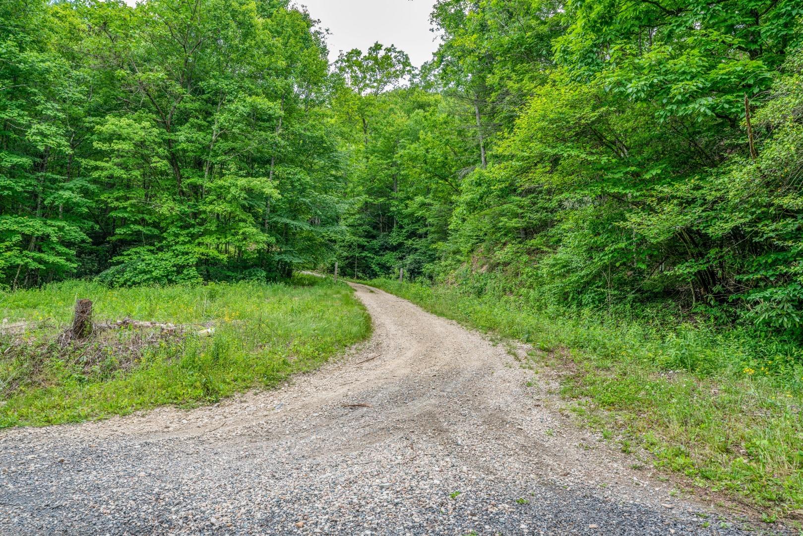 Tbd Jimmy Hollow Road, Unit TR1 Butler, TN 37640 - Photo 30 of 31 DSC08199-Edit-9