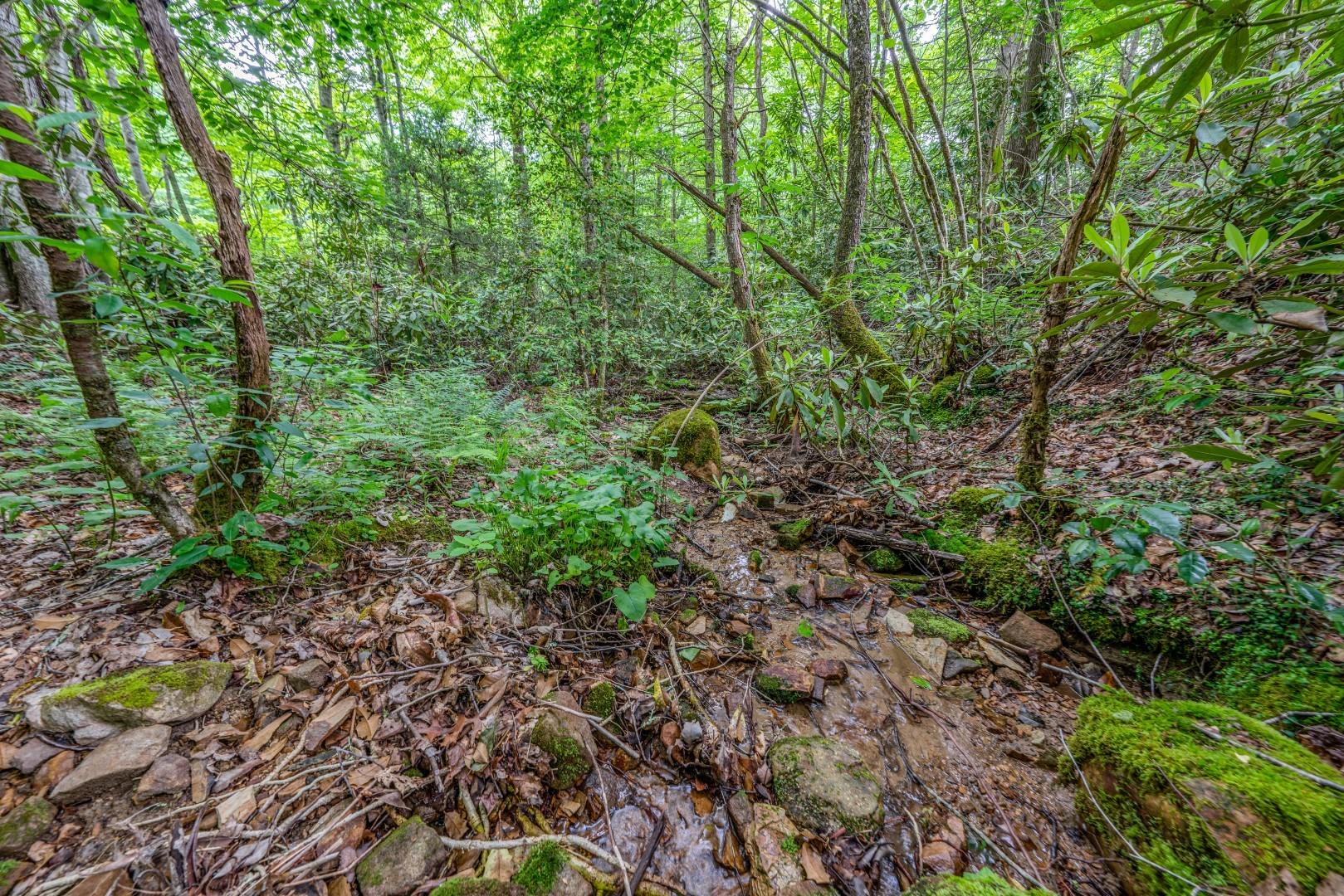 Tbd Jimmy Hollow Road, Unit TR1 Butler, TN 37640 - Photo 3 of 31 DSC08197-Edit-7