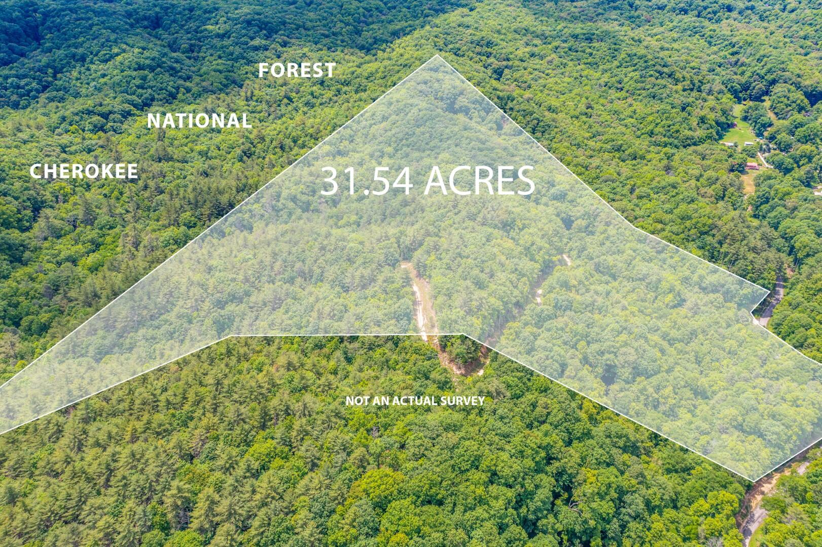Tbd Jimmy Hollow Road, Unit TR1 Butler, TN 37640 - Photo 31 of 31 Overlay_1 (2)