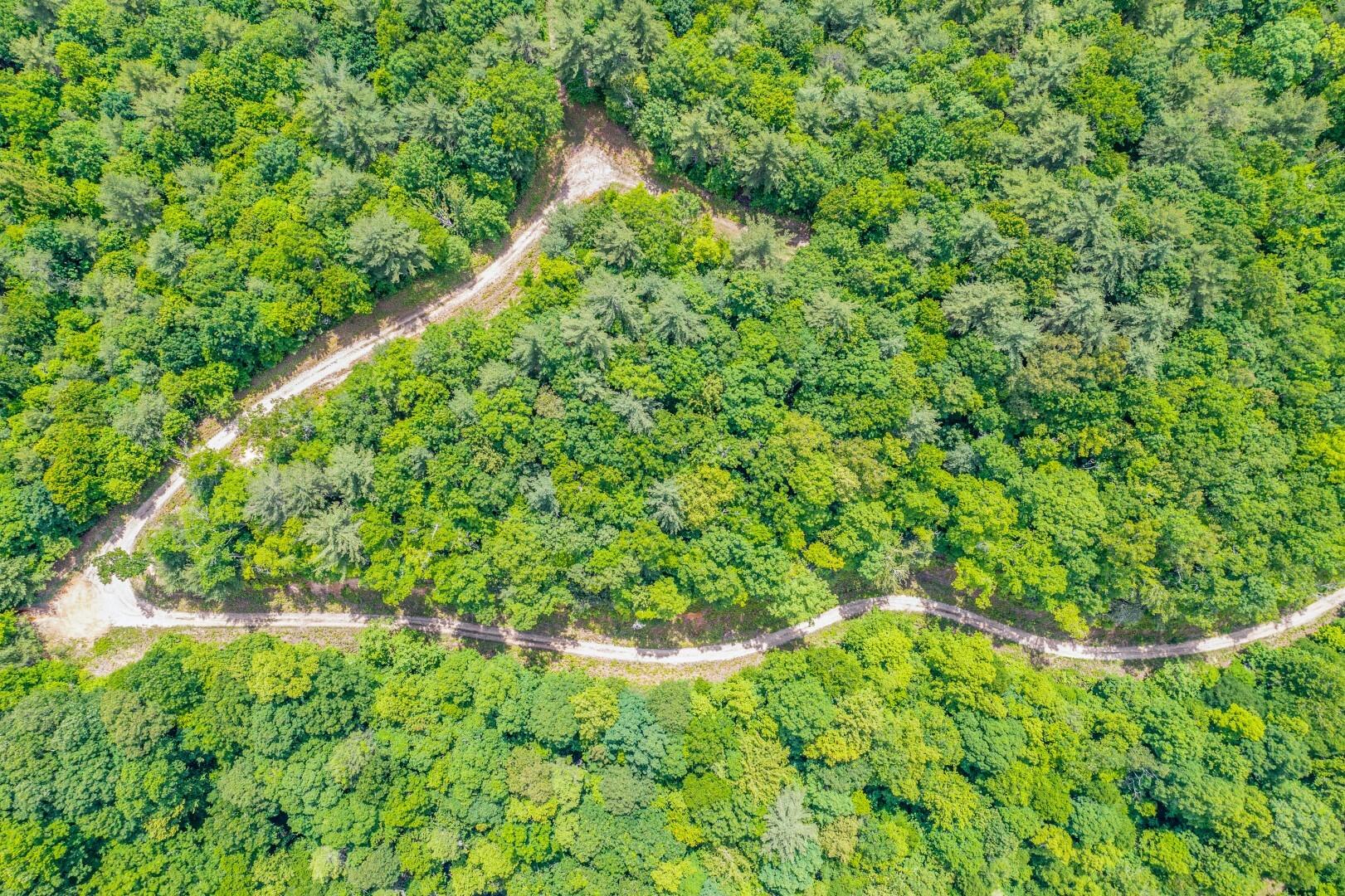 Tbd Jimmy Hollow Road, Unit TR1 Butler, TN 37640 - Photo 4 of 31 DJI_0017-Edit-13