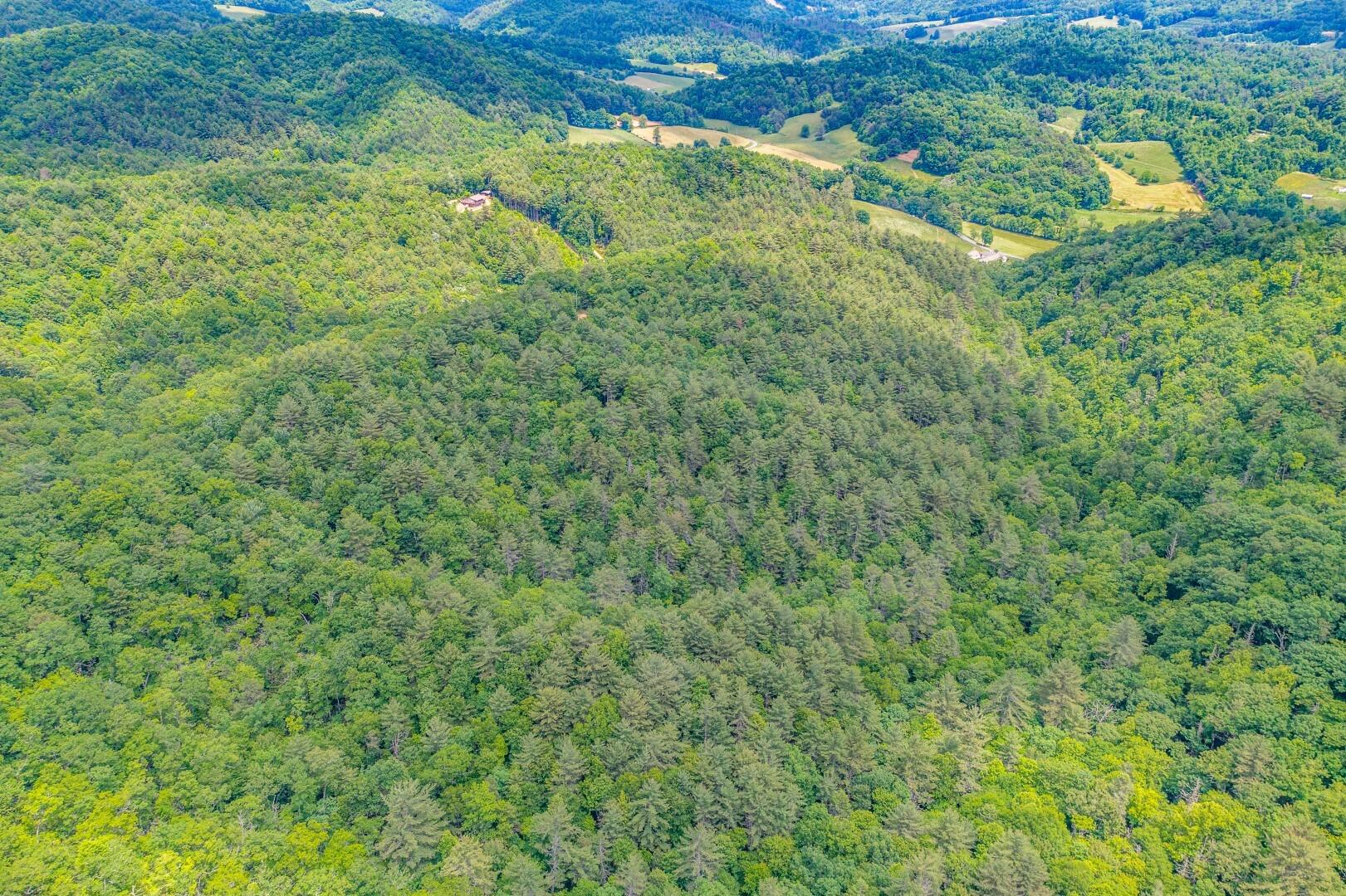 Tbd Jimmy Hollow Road, Unit TR1 Butler, TN 37640 - Photo 5 of 31 DJI_0003-Edit-10