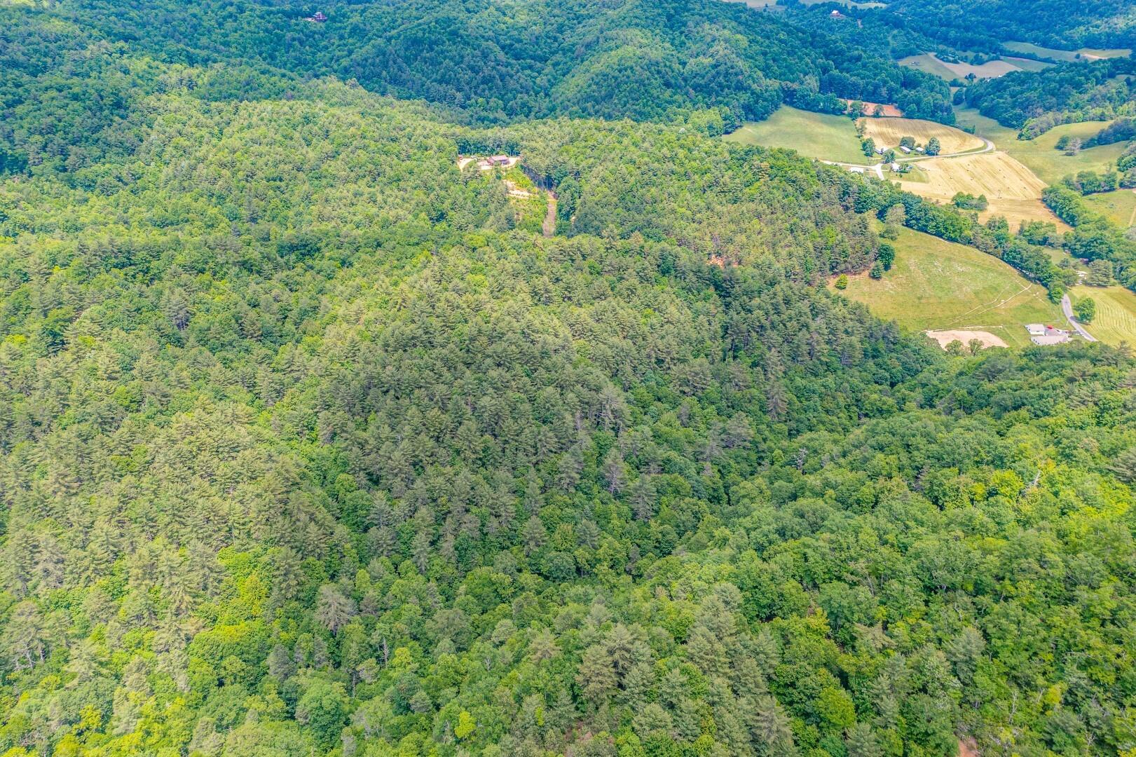 Tbd Jimmy Hollow Road, Unit TR1 Butler, TN 37640 - Photo 6 of 31 DJI_0008-Edit-11