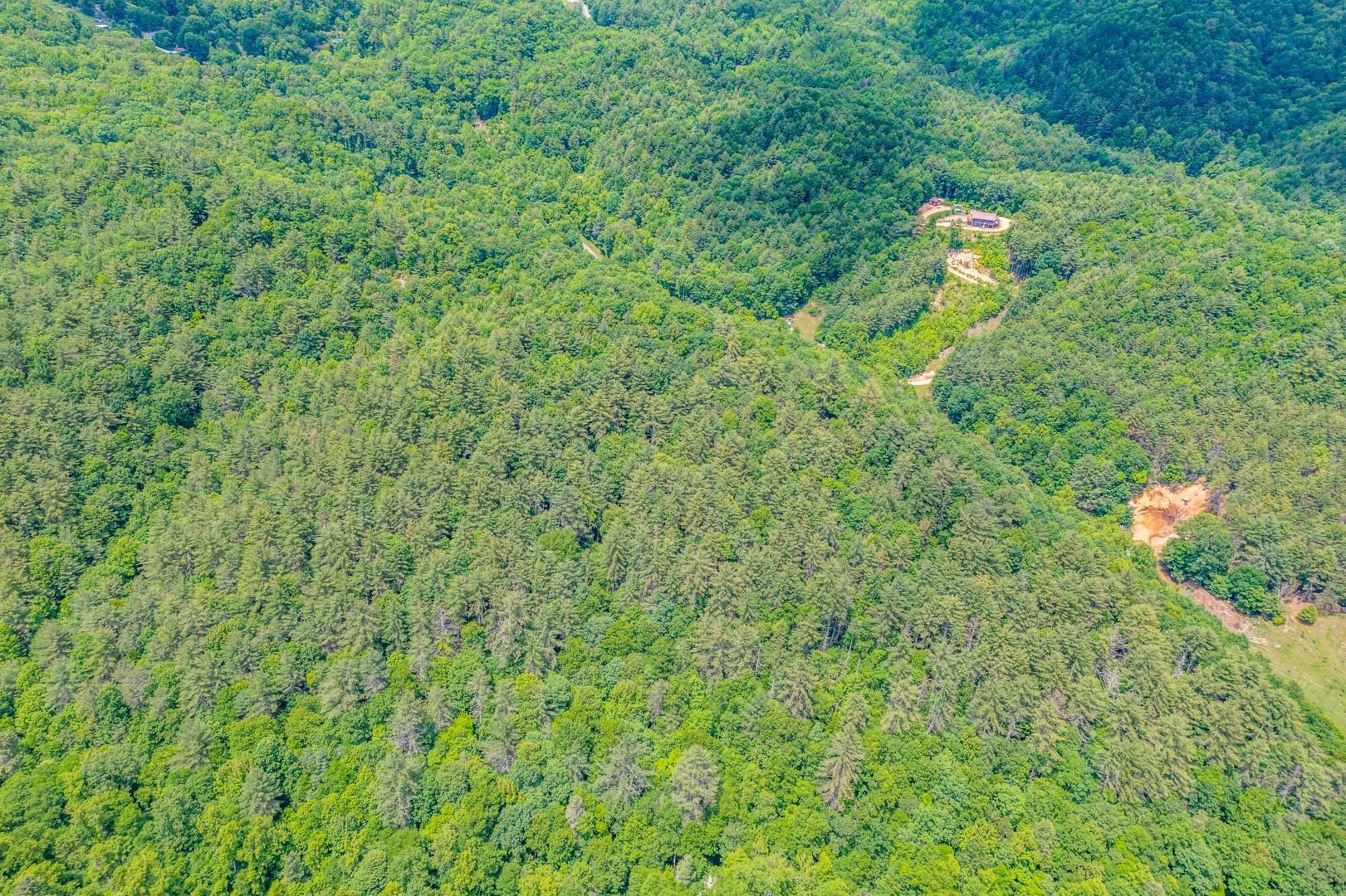 Tbd Jimmy Hollow Road, Unit TR1 Butler, TN 37640 - Photo 7 of 31 DJI_0013-Edit-12