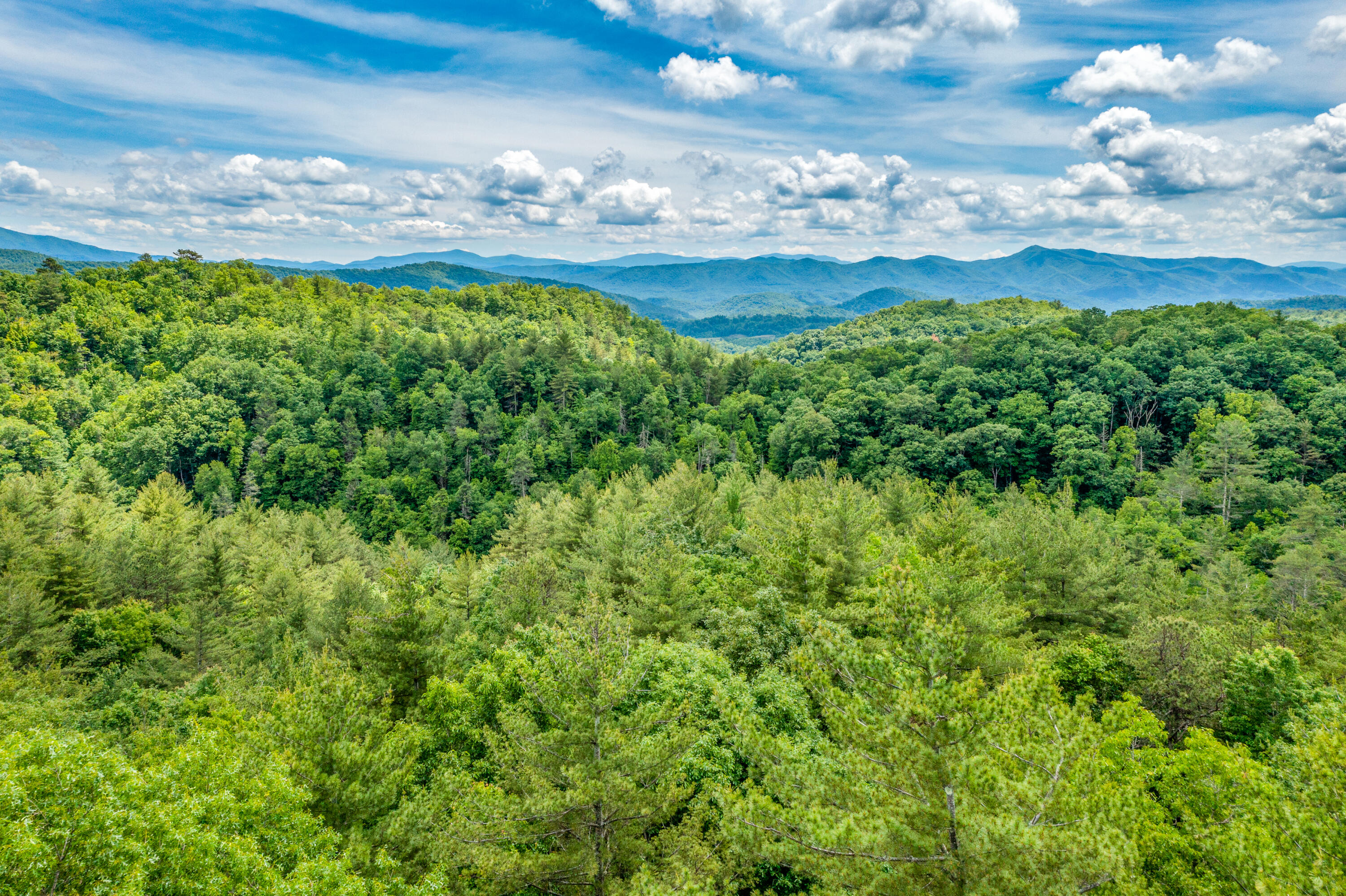 Tbd Jimmy Hollow Road, Unit TR1 Butler, TN 37640 - Photo 8 of 31 DJI_0022-Edit-14