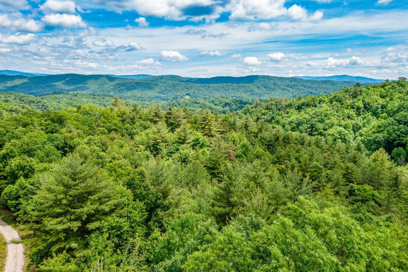Tbd Jimmy Hollow Road, Unit TR1 Butler, TN 37640 - Photo 9 of 31 DJI_0027-Edit-15