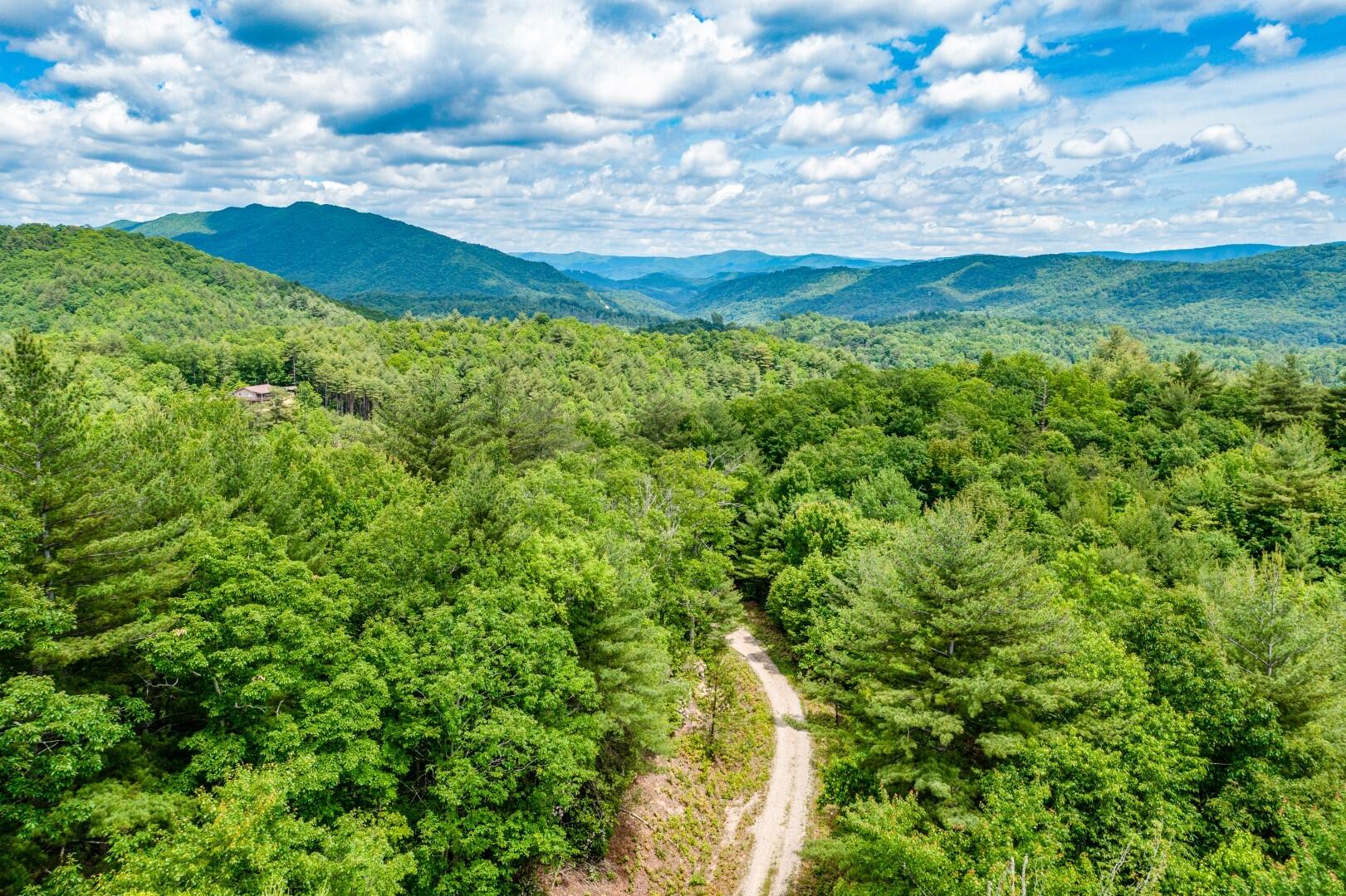 Tbd Jimmy Hollow Road, Unit TR1 Butler, TN 37640 - Photo 10 of 31 DJI_0032-Edit-16
