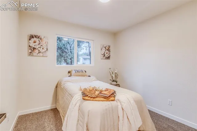 a bedroom with a bed and a closet