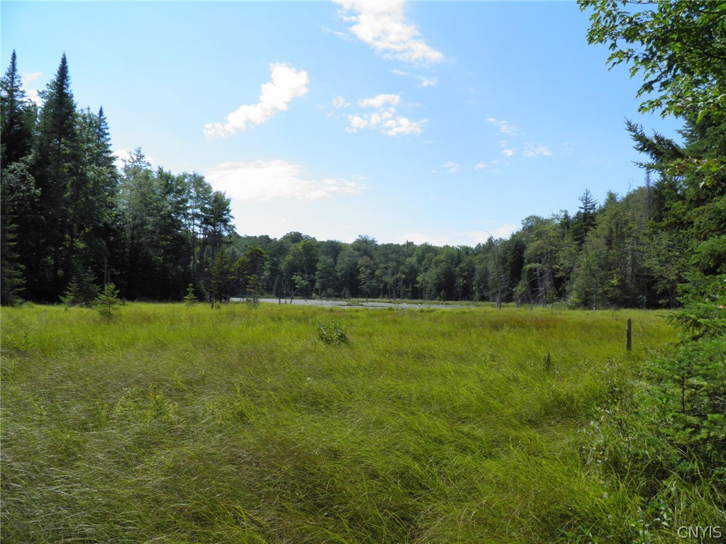 0 Mud Lake Road West Leyden, NY 13489 - Photo 1 of 38 Larger Beaver Pond
