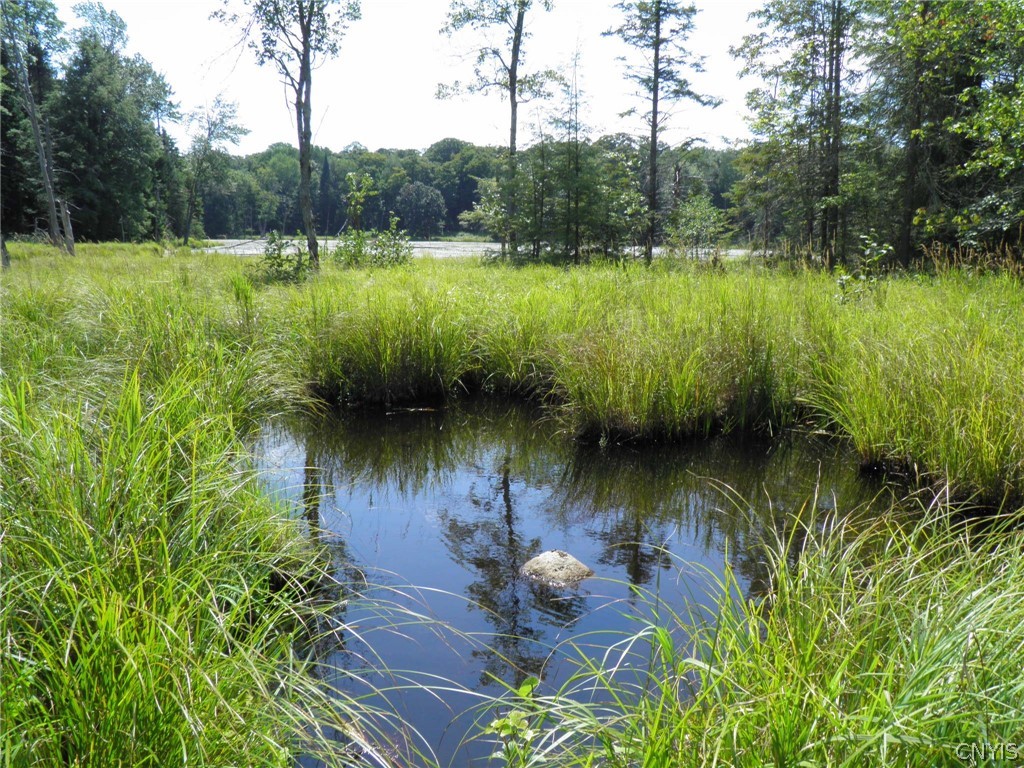 0 Mud Lake Road West Leyden, NY 13489 - Photo 11 of 38 Stream