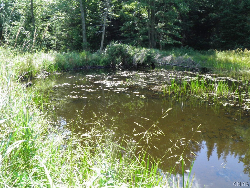 0 Mud Lake Road West Leyden, NY 13489 - Photo 12 of 38 Beaver Dam