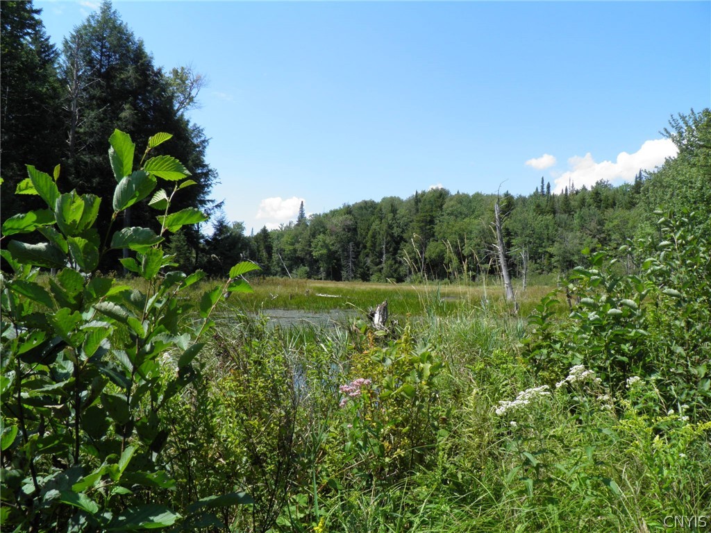 0 Mud Lake Road West Leyden, NY 13489 - Photo 13 of 38 Beaver Pond