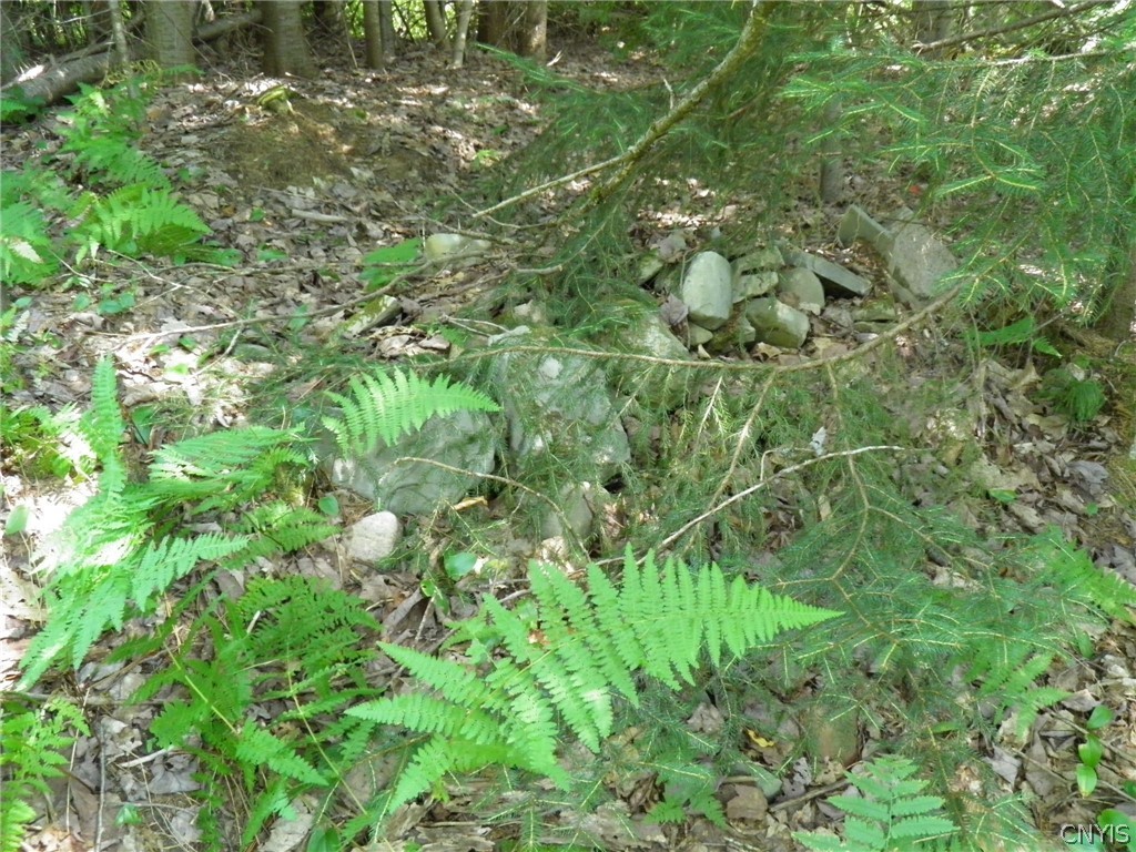0 Mud Lake Road West Leyden, NY 13489 - Photo 17 of 38 Rock Fence