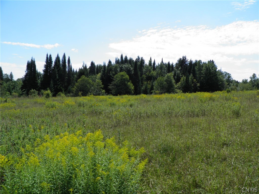 0 Mud Lake Road West Leyden, NY 13489 - Photo 20 of 38 Woods Above Ponds