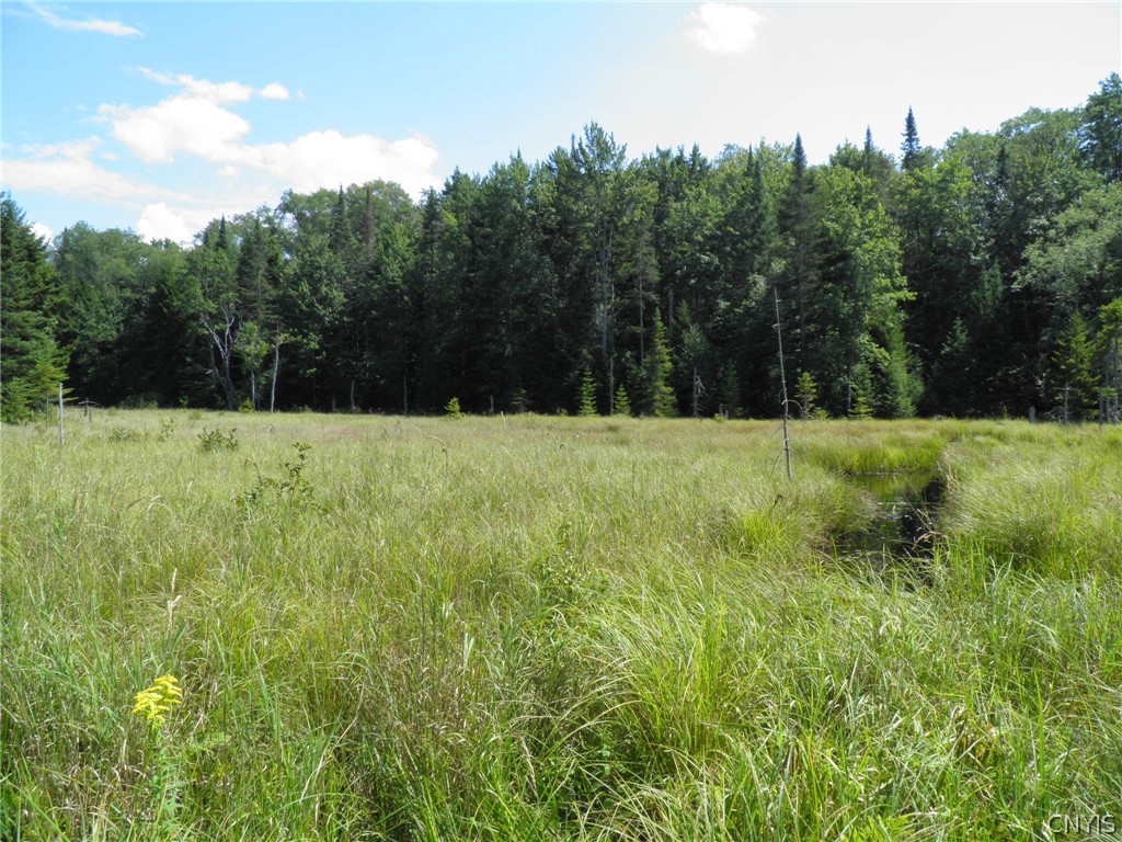 0 Mud Lake Road West Leyden, NY 13489 - Photo 2 of 38 Beaver Meadow