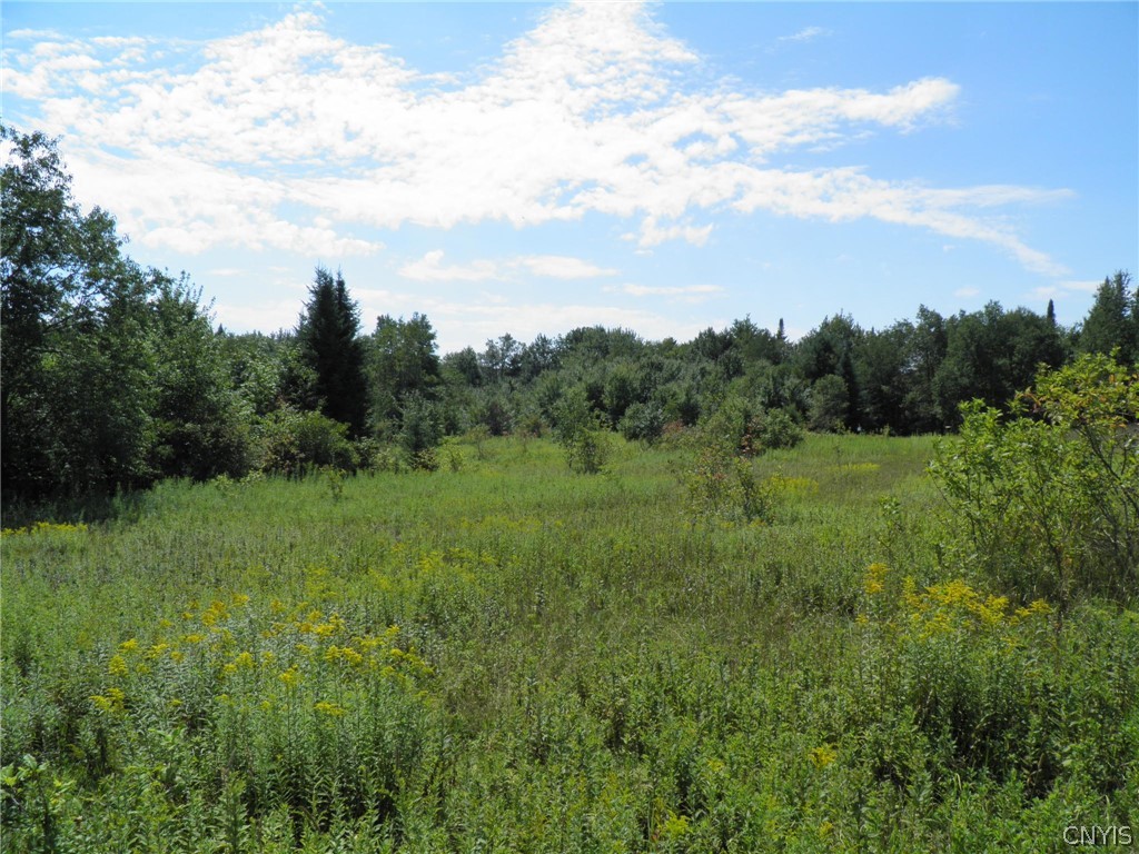 0 Mud Lake Road West Leyden, NY 13489 - Photo 21 of 38 Rear Field