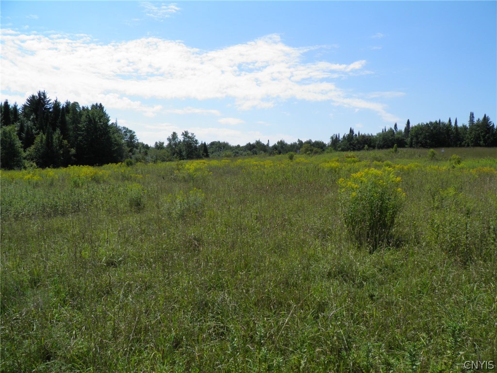 0 Mud Lake Road West Leyden, NY 13489 - Photo 27 of 38 Rear Field