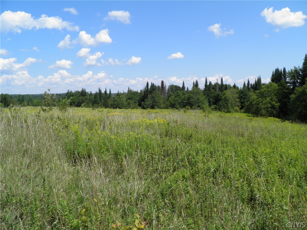 0 Mud Lake Road West Leyden, NY 13489 - Photo 30 of 38 Rear Field