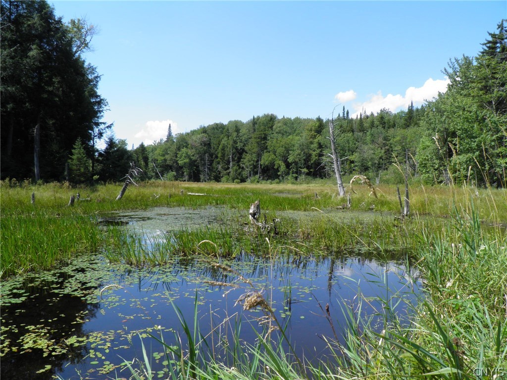 0 Mud Lake Road West Leyden, NY 13489 - Photo 3 of 38 Smaller Beaver Pond