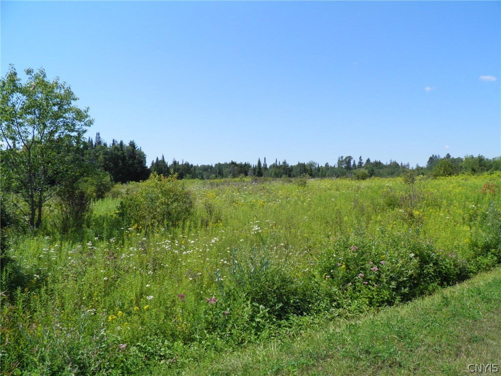 0 Mud Lake Road West Leyden, NY 13489 - Photo 31 of 38 Roadside Field