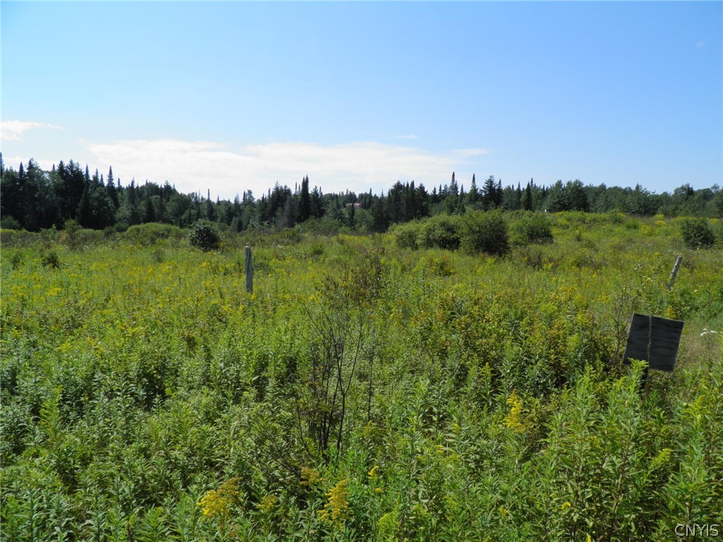 0 Mud Lake Road West Leyden, NY 13489 - Photo 32 of 38 Roadside View of Boundary