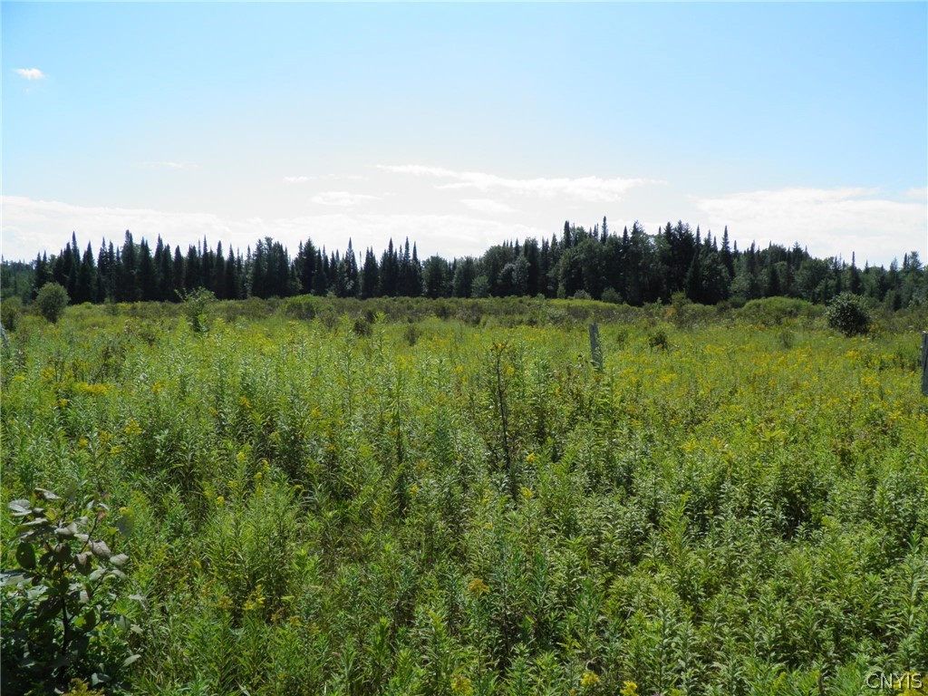 0 Mud Lake Road West Leyden, NY 13489 - Photo 33 of 38 Roadside View South