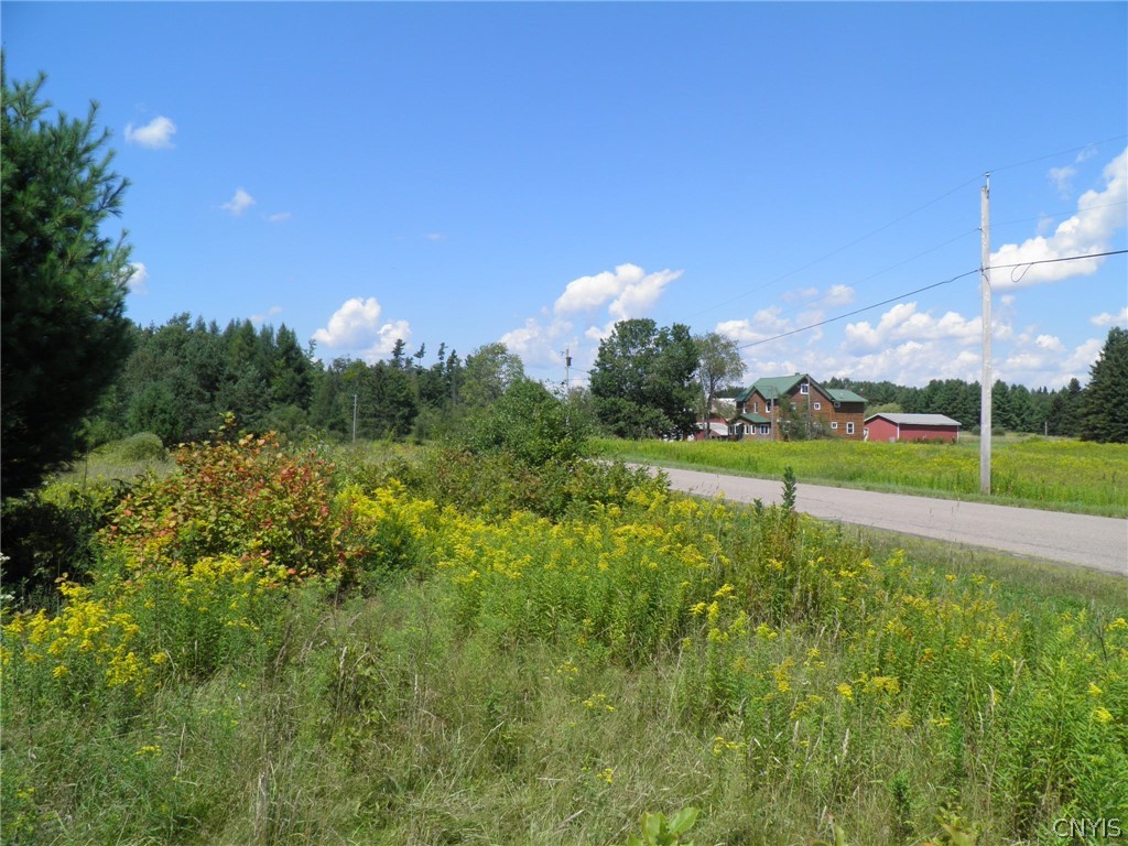 0 Mud Lake Road West Leyden, NY 13489 - Photo 37 of 38 Road View West