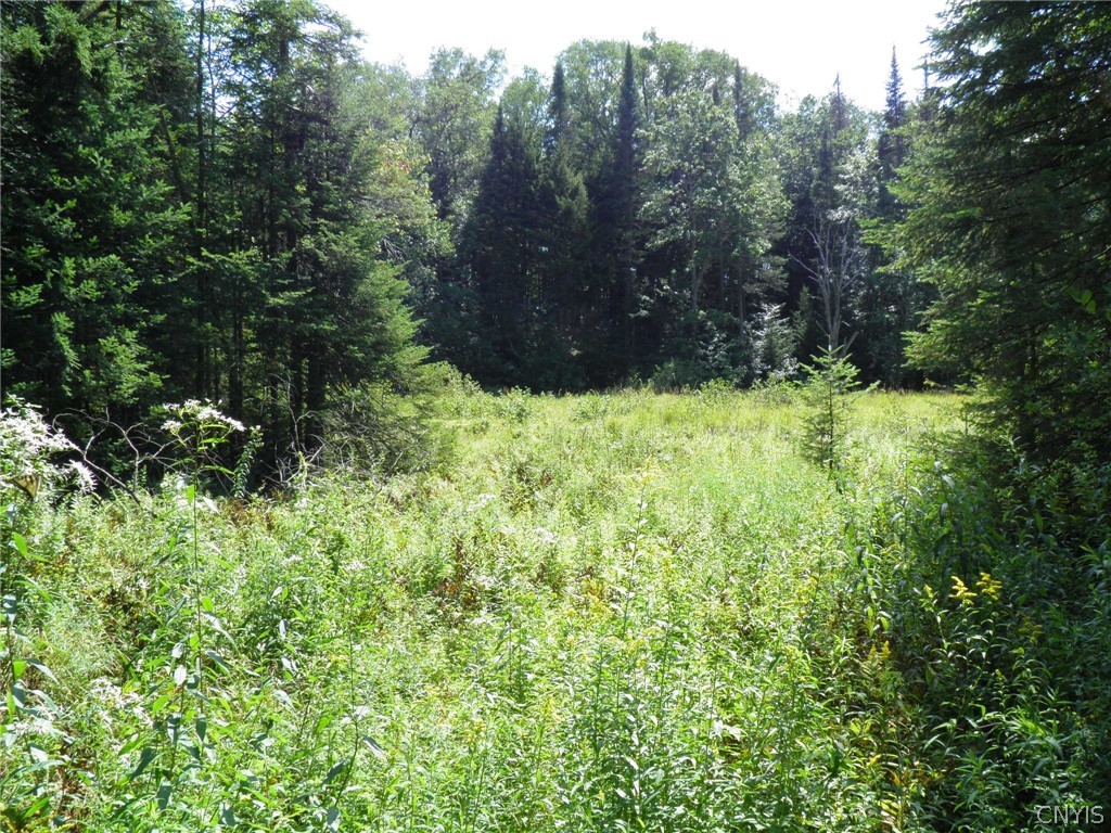 0 Mud Lake Road West Leyden, NY 13489 - Photo 9 of 38 Beaver Meadow