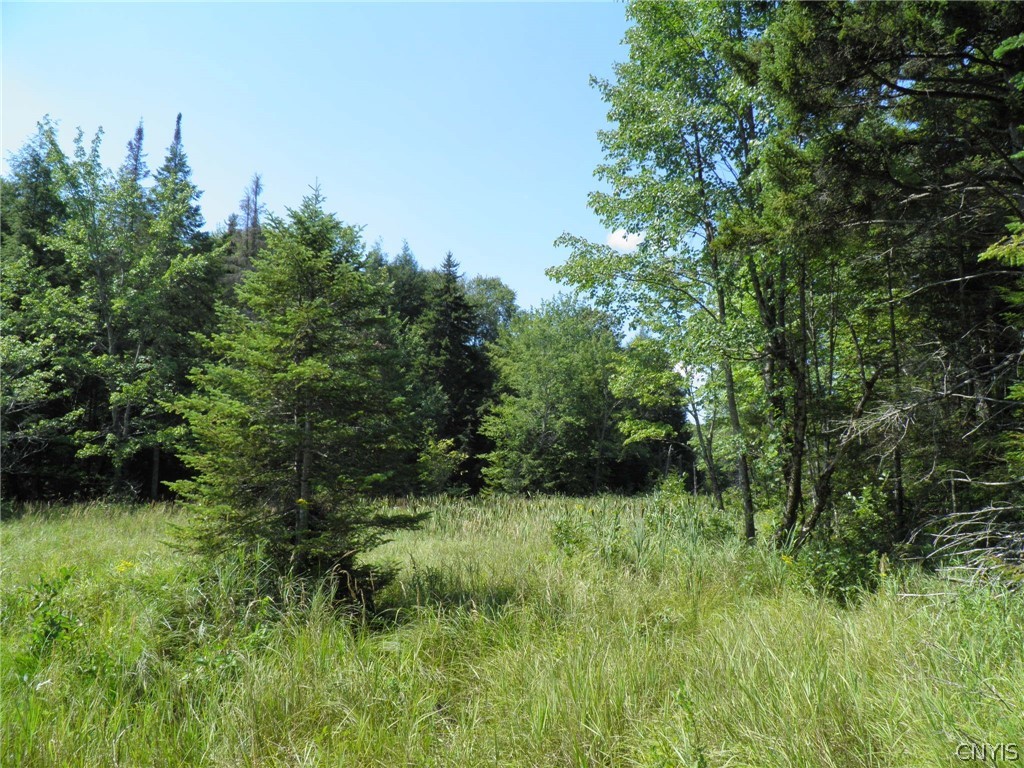 0 Mud Lake Road West Leyden, NY 13489 - Photo 10 of 38 Beaver Meadow