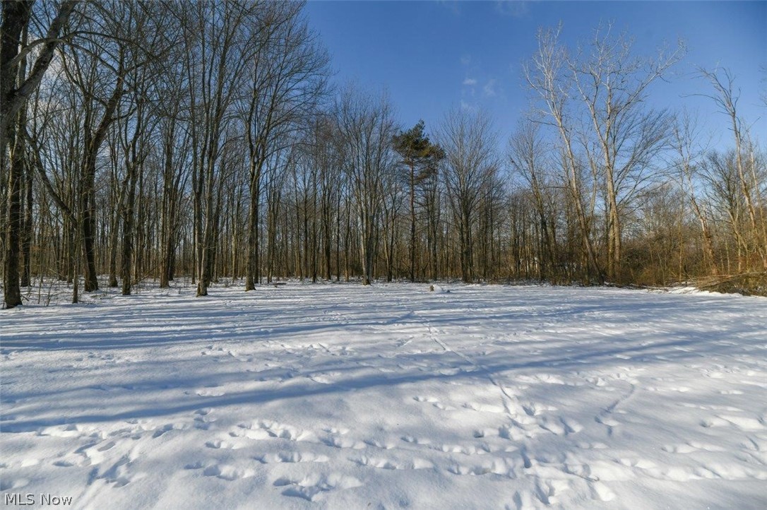 38380 Rogers Road Willoughby, OH 44094 - Photo 29 of 30