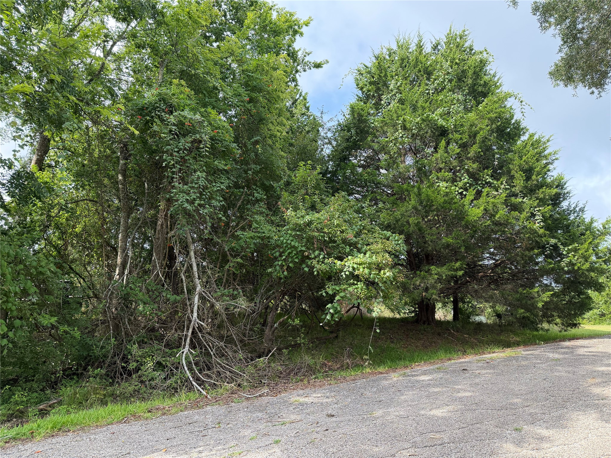 0 Timber Cove Coldspring, TX 77331 - Photo 3 of 13 Ready for your dream home in Cape Royale