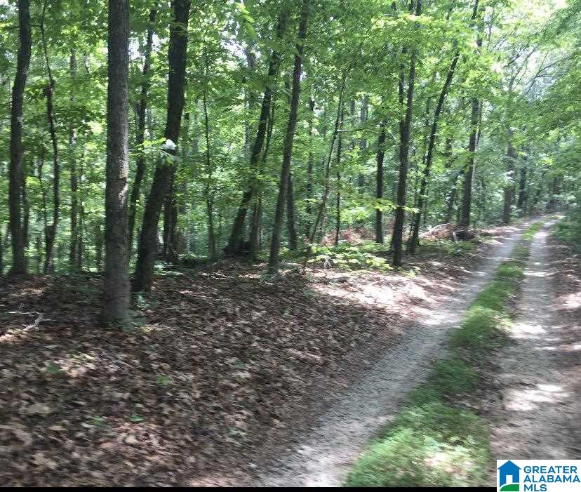 0 West Chapel Hill Road, Unit 40/15 Douglasville, GA 30135 - Photo 1 of 6