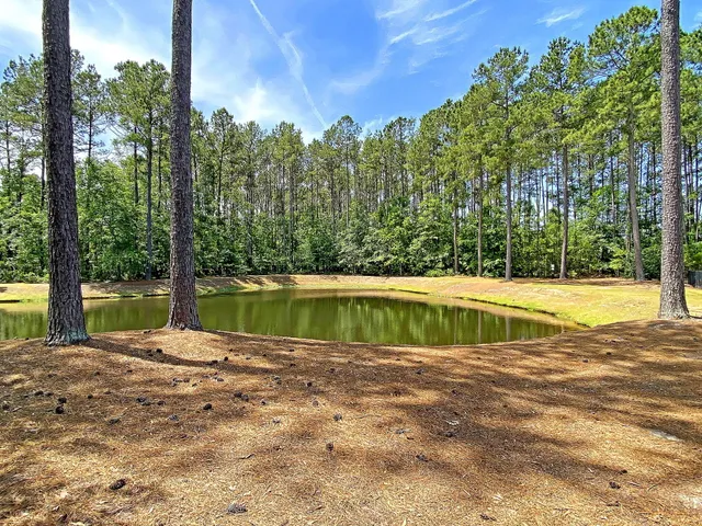 $1,995 | 4824 Willow Brook Lane, Summerville, SC 29485