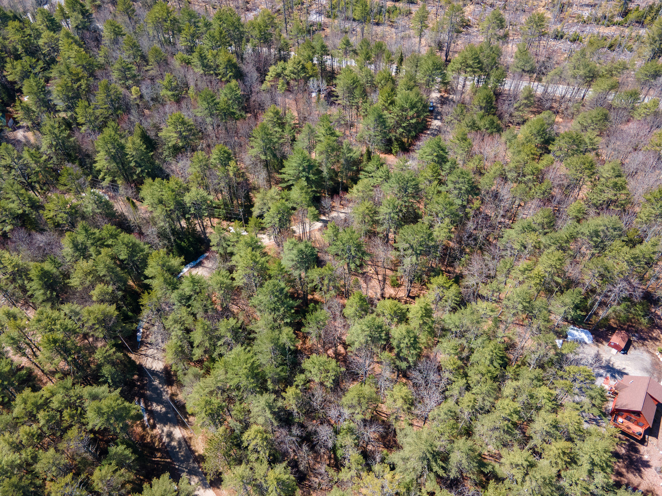 Lot 3 Big Woods Road Harrison, ME 04040 - Photo 21 of 26 Lot 3 Big Woods Rd_Harrison_19