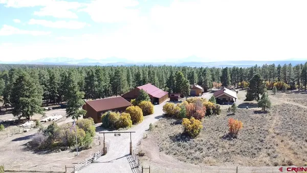 a view of a terrace with a garden and bench