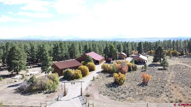a view of a terrace with a garden and bench