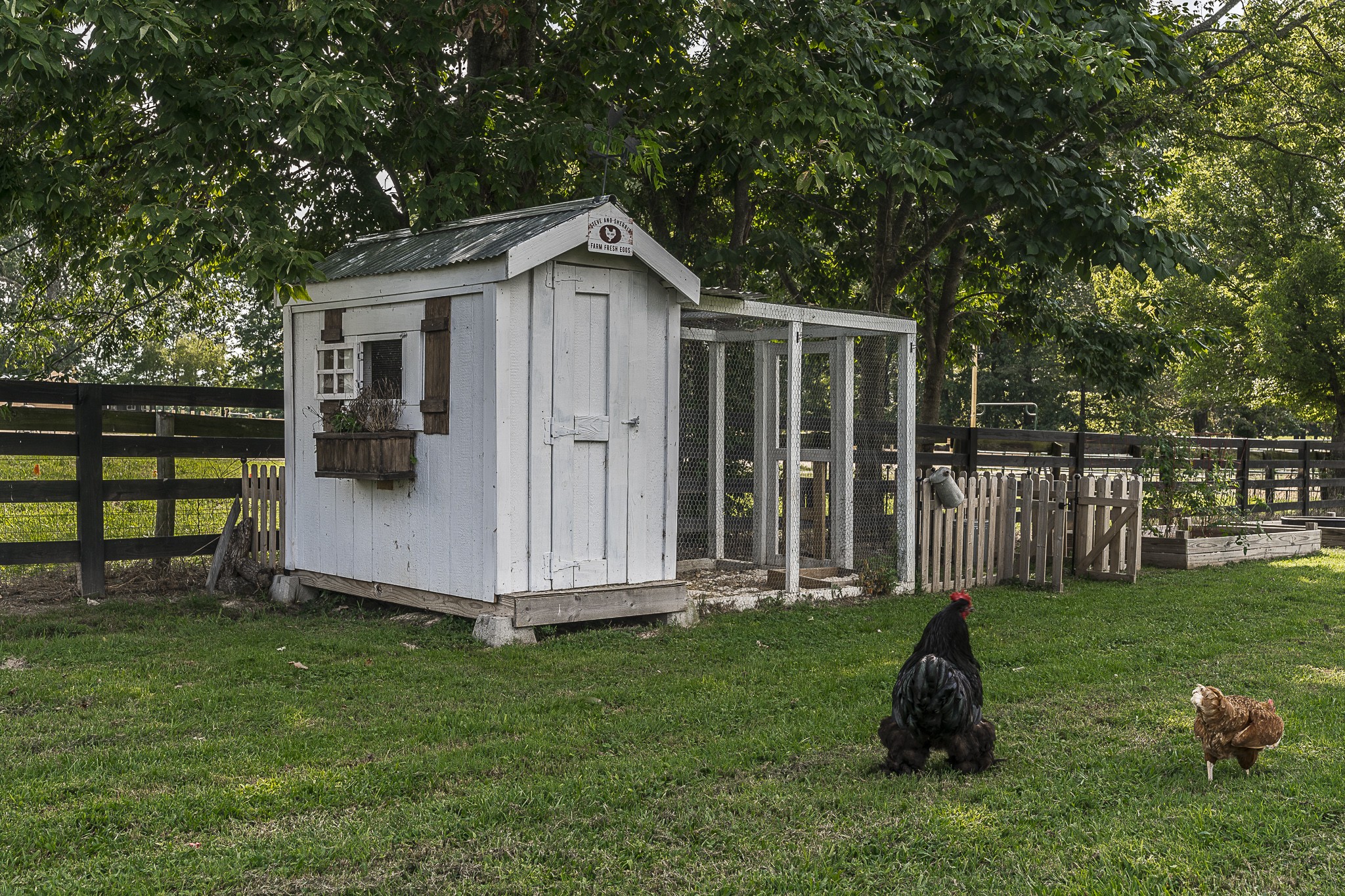 273 Halltown Road Cottontown, TN 37048 - Photo 65 of 68