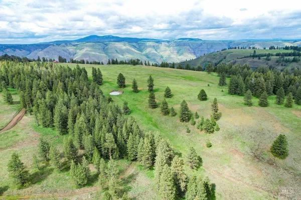 $3,866,800 | 205 Burnt Crk Road, Cottonwood, ID 83522