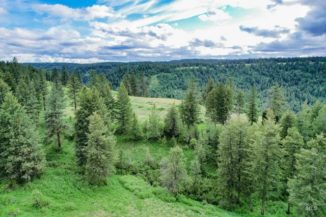 $3,866,800 | 205 Burnt Crk Road, Cottonwood, ID 83522