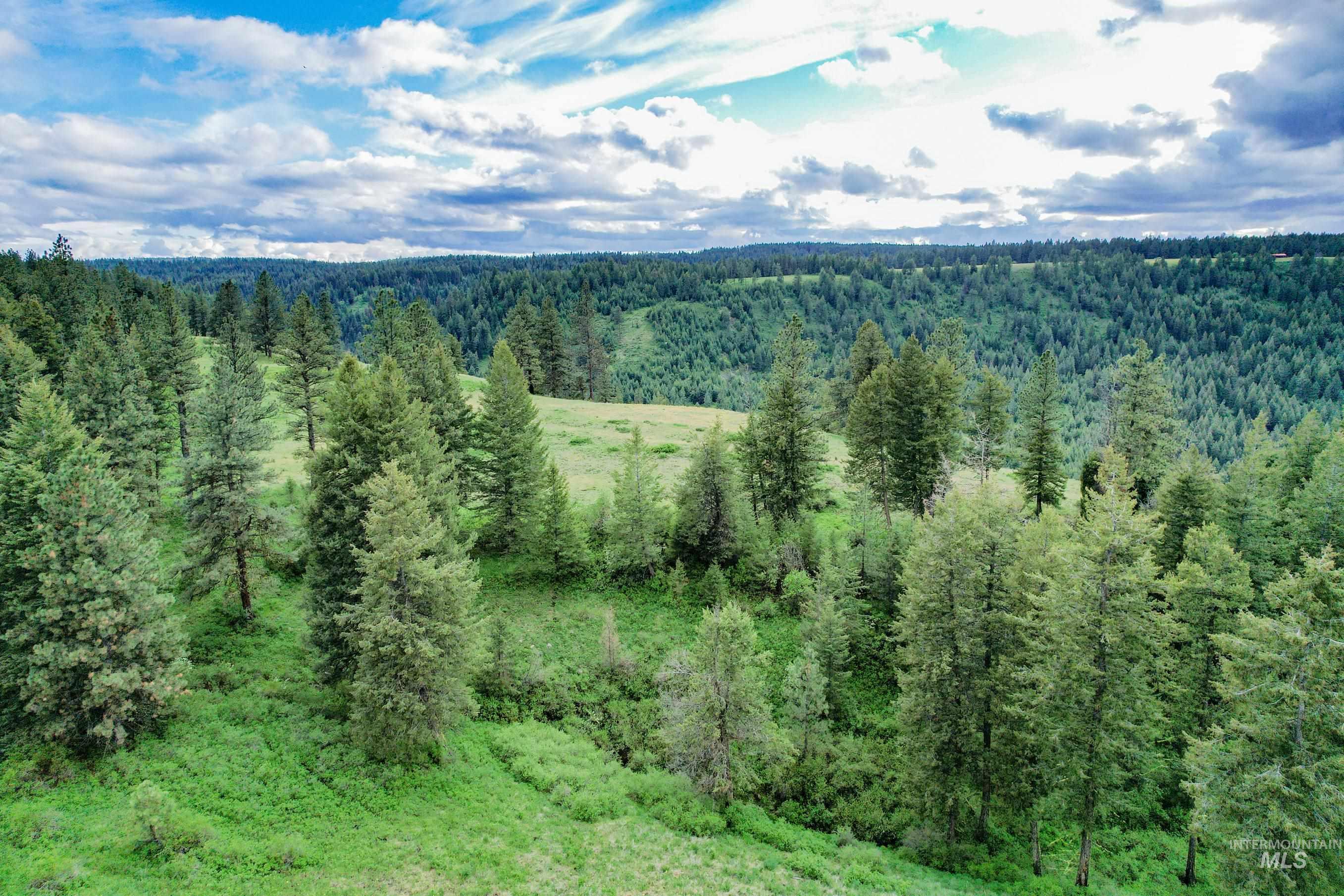 205 Burnt Crk Road Cottonwood, ID 83522 - Photo 11 of 25