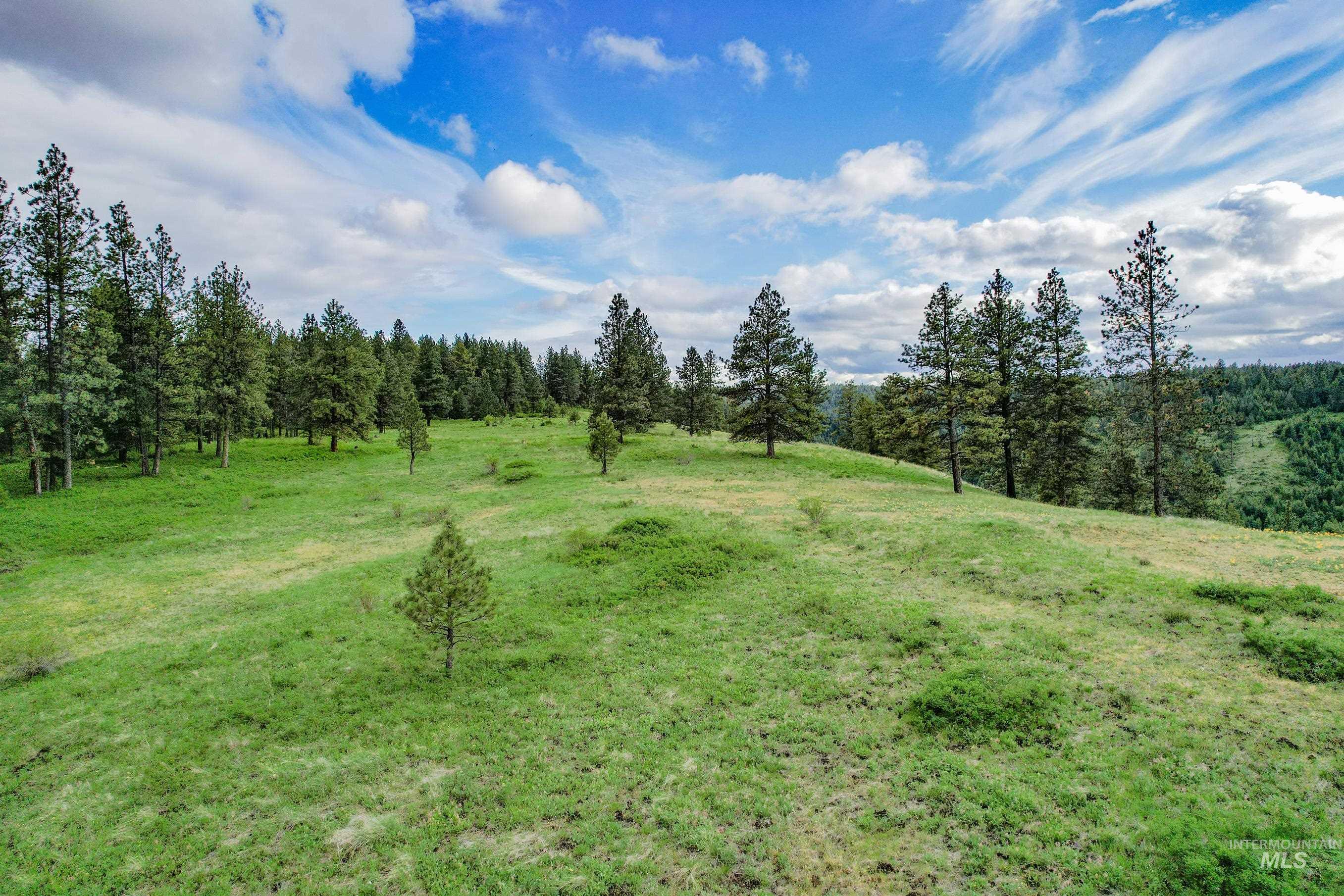 205 Burnt Crk Road Cottonwood, ID 83522 - Photo 12 of 25