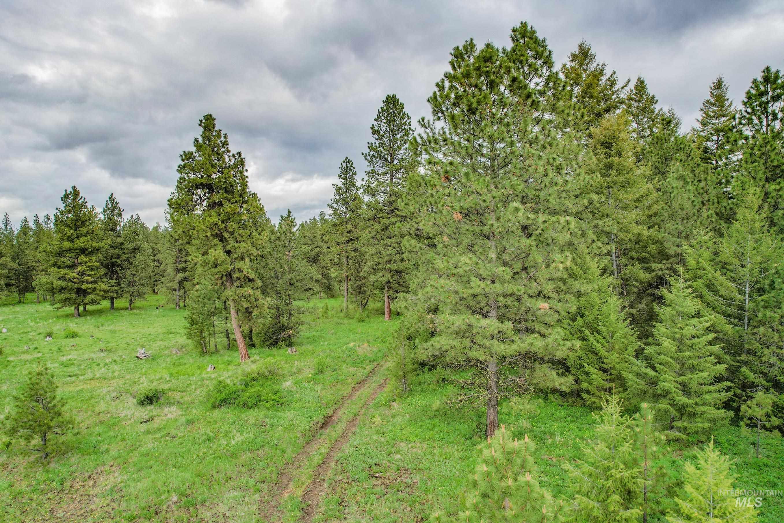 205 Burnt Crk Road Cottonwood, ID 83522 - Photo 13 of 25