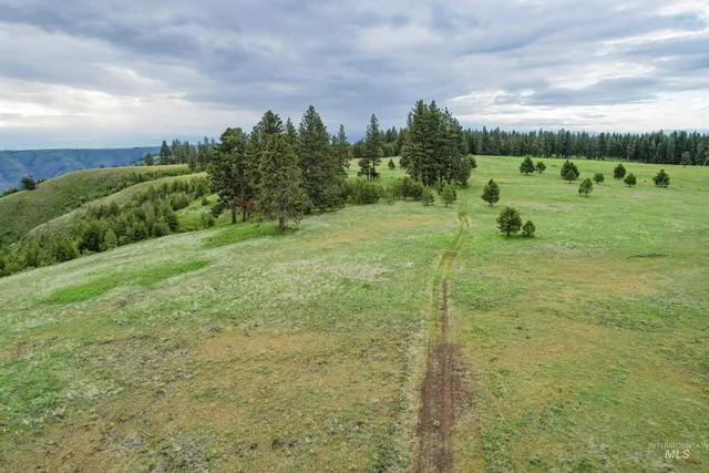 $3,866,800 | 205 Burnt Crk Road, Cottonwood, ID 83522