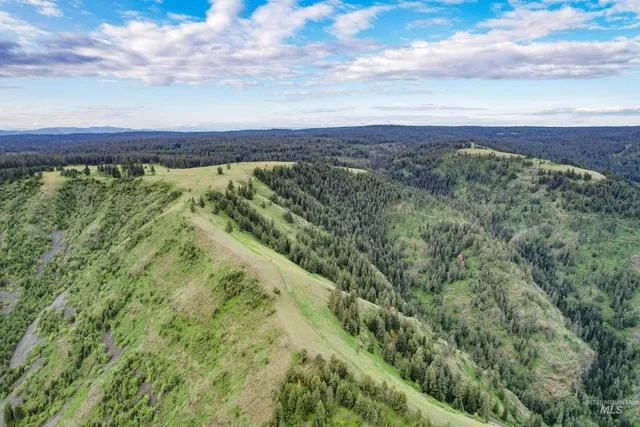 $3,866,800 | 205 Burnt Crk Road, Cottonwood, ID 83522