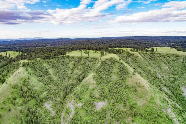 $3,866,800 | 205 Burnt Crk Road, Cottonwood, ID 83522