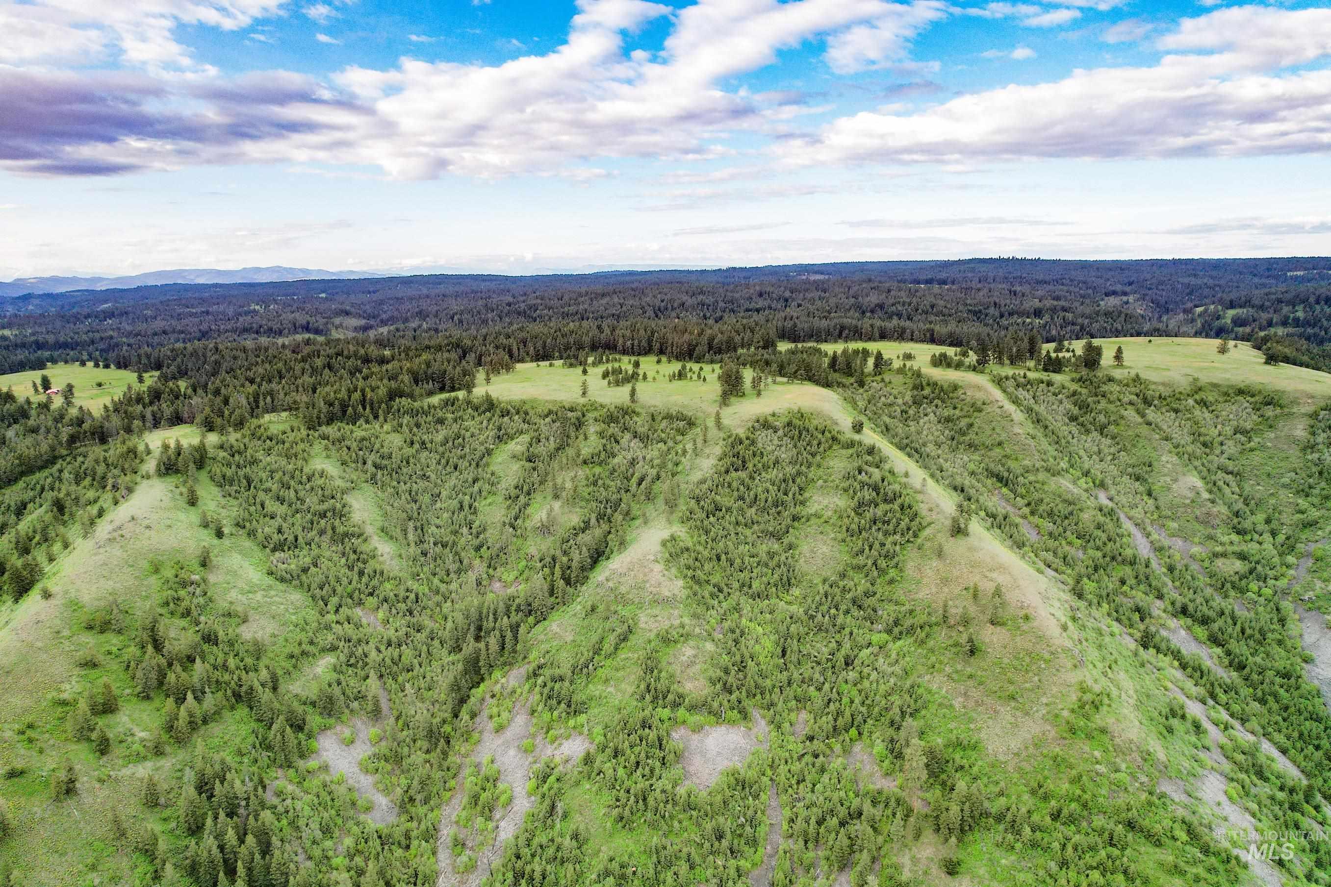 205 Burnt Crk Road Cottonwood, ID 83522 - Photo 16 of 25