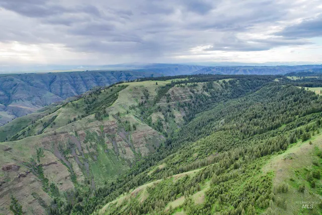 $3,866,800 | 205 Burnt Crk Road, Cottonwood, ID 83522