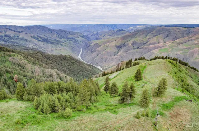 $3,866,800 | 205 Burnt Crk Road, Cottonwood, ID 83522