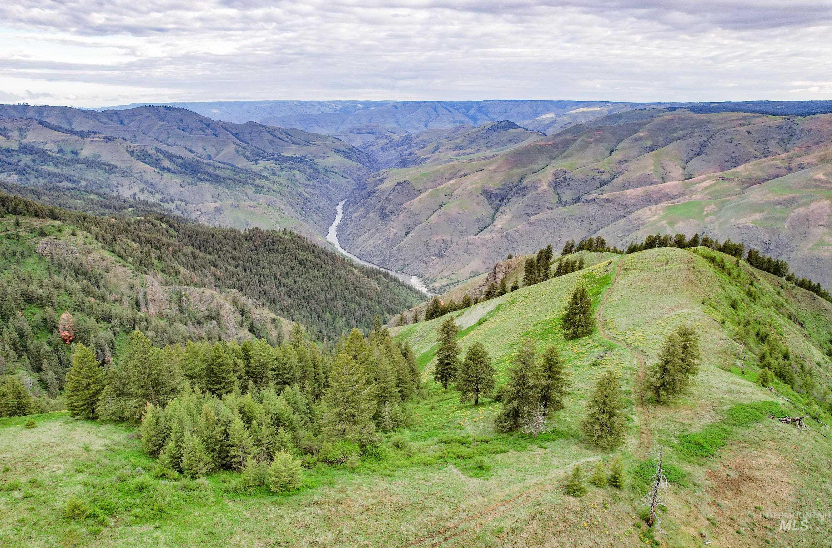 205 Burnt Crk Road Cottonwood, ID 83522 - Photo 18 of 25